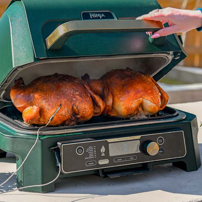 Ninja Woodfire XL Grill and Shark Fan Bundle